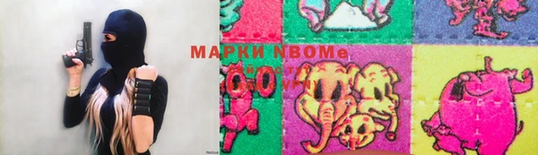 твердый Коряжма