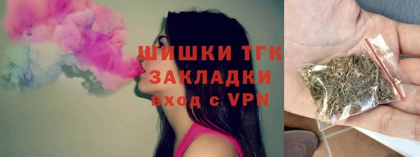 твердый Коряжма
