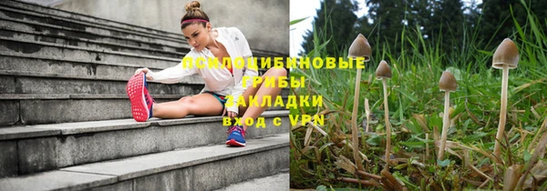 молекула духа Костерёво