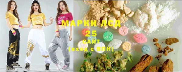 молекула духа Костерёво